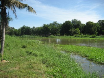 View of Khlong Bang Khuat