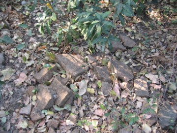 Brick remnants in situ