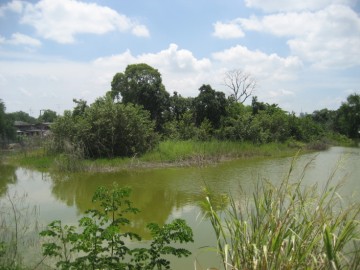 View of Khok Makluea