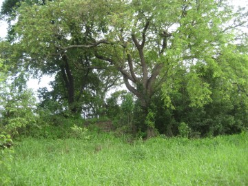 Site view of Wat Ko Noi