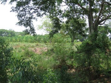View of the location