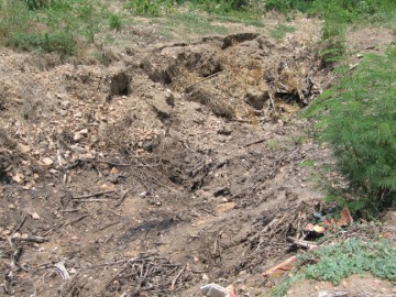 Digging in situ - Anno 2009