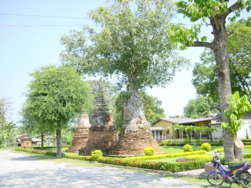 Three satellite chedi in line