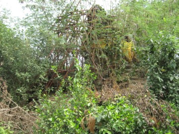 Brickwork of Wat Pa Daeng