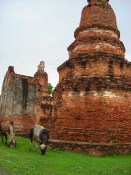 One of the chedi at Wat Phlapphla Chai
