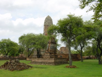 Within the complex