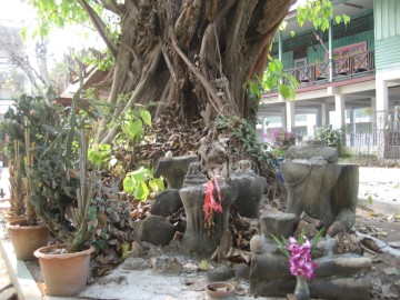 Fragmented Buddha statues in situ
