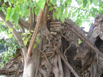 Remaining brickwork